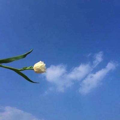 360版武动乾坤官方下载