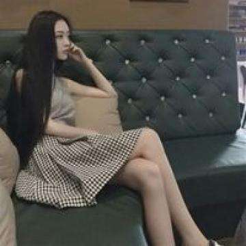 泰利的迷雾森林手游